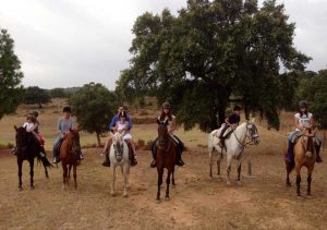 natural-park-andalusian-horse