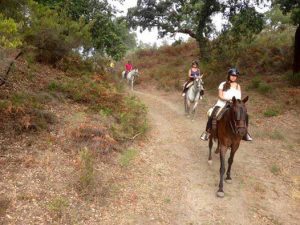 visit-natural-park-andalusian-with-horse