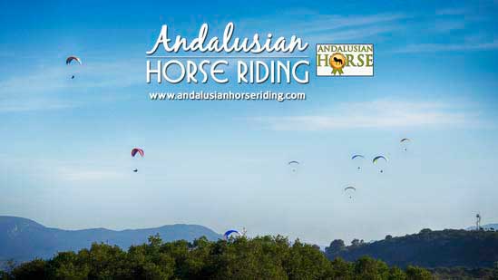 paragliding andalusian horse